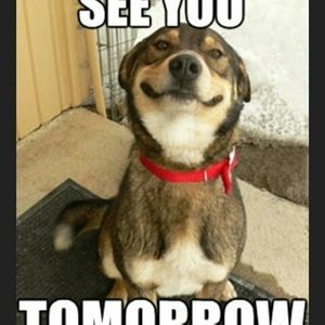 Meet your Posher, Shannon